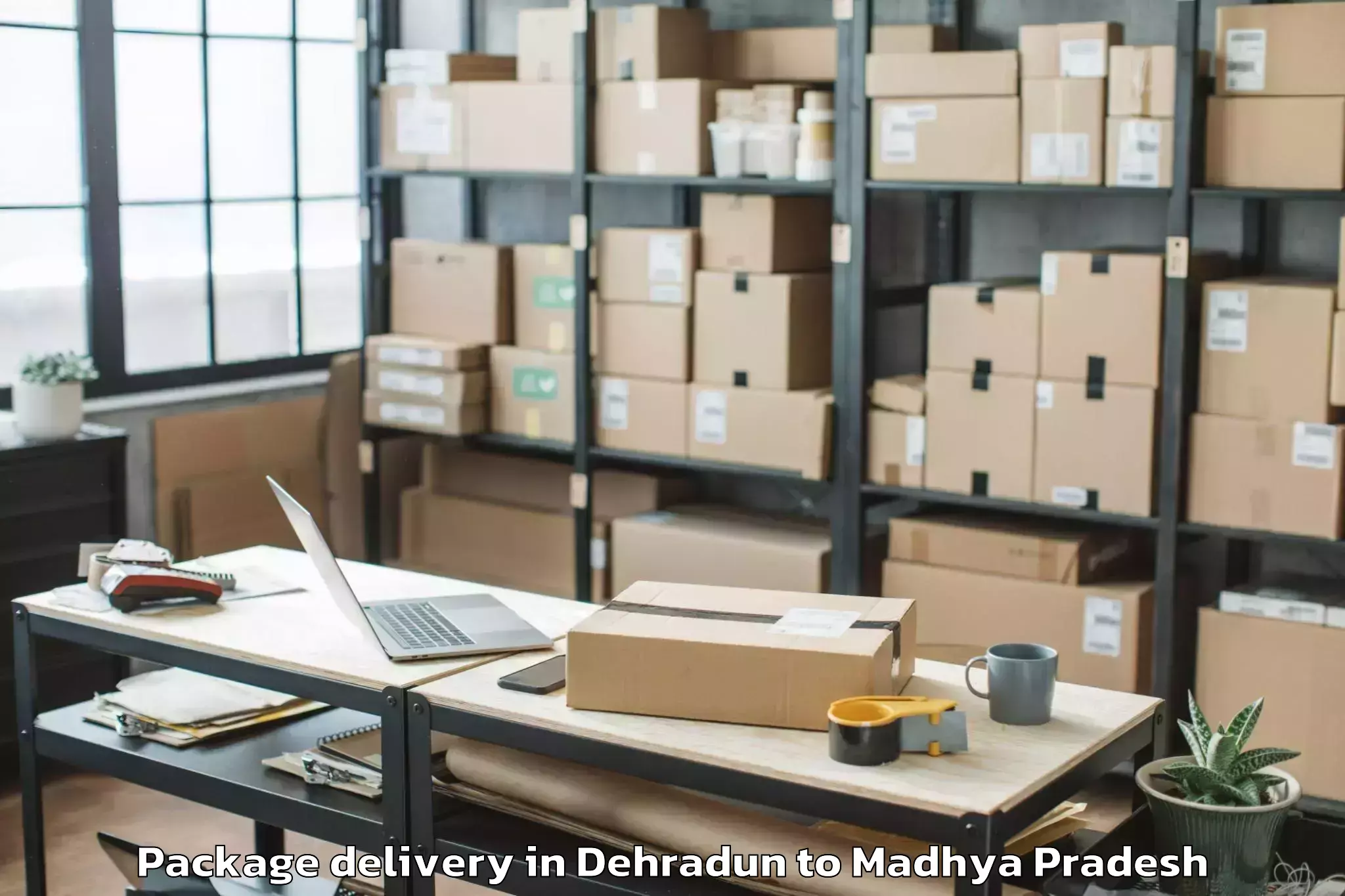 Expert Dehradun to Medi Caps University Indore Package Delivery